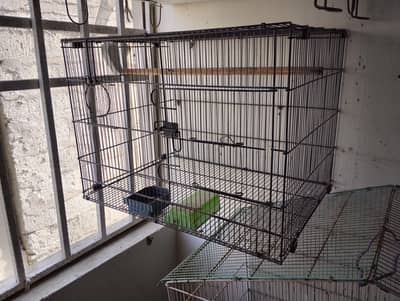 Birds cage for birds size 1.5 x 1.5