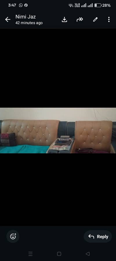Leather Sofas