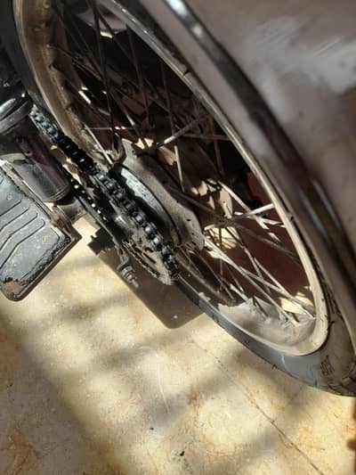 crown bike 2019 model