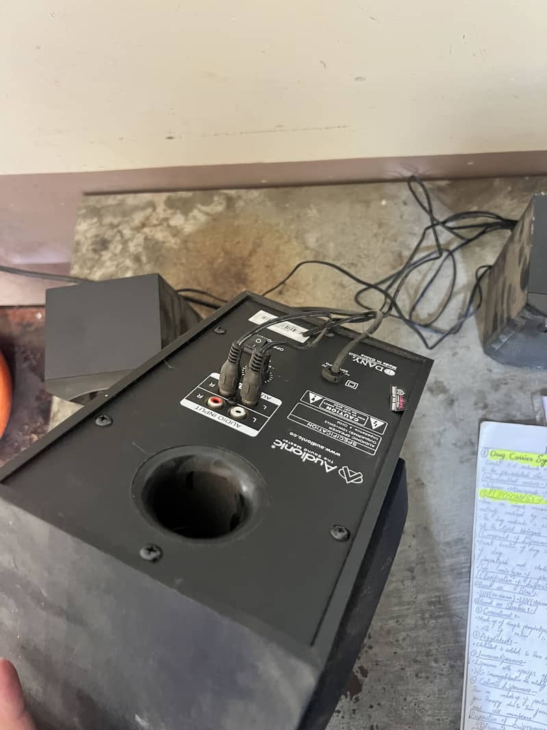 Audionic Speakers 2