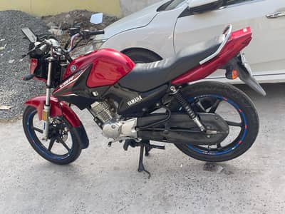for sale