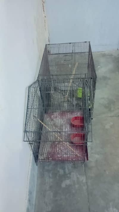 duel cage for sale