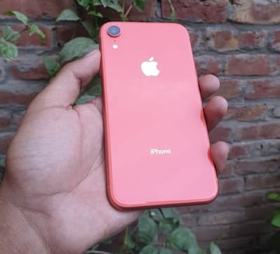 iPhone XR PTA Approved – 64GB For Sale