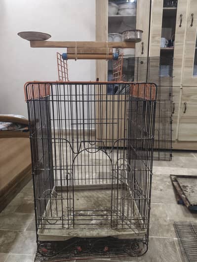 Fancy cage for pet and hand tame birds