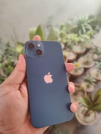 Apple iPhone 13 128 gb