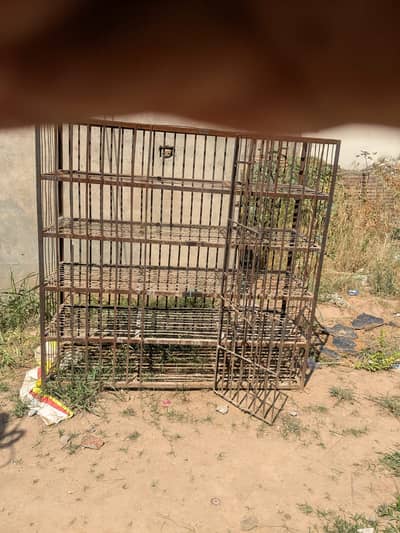 Cage | Parrot cage | Bird Customized cages | iron cage | solid cage