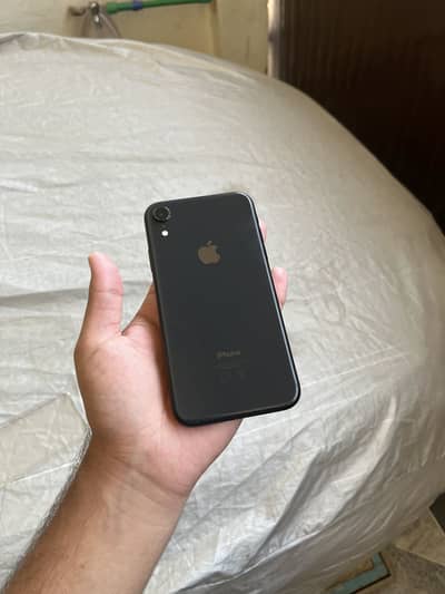 Apple iPhone XR Dual Pta Approve