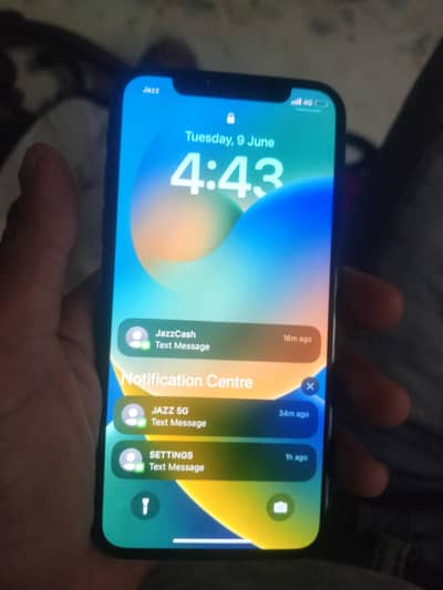Apple iPhone X