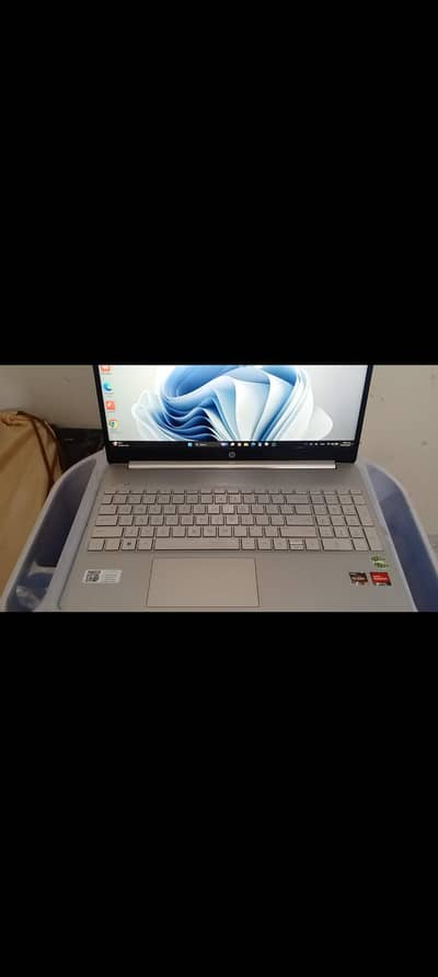 HP Laptop AMD Ryzen 5 5500U with Radion Graphics 2.10