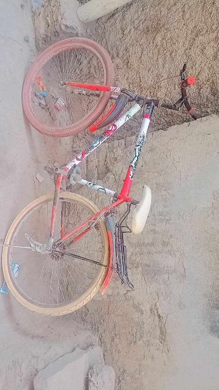 cycle 6