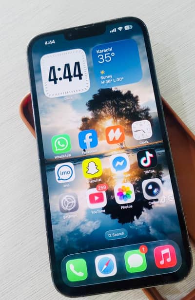 Apple iPhone 13 Pro Max