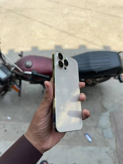 Apple iPhone 13 Pro Max
