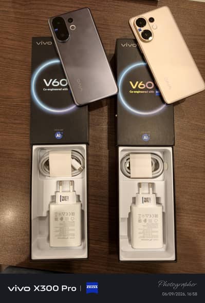 Vivo V60 12/256