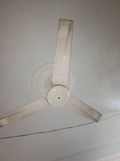 Ceiling Fans