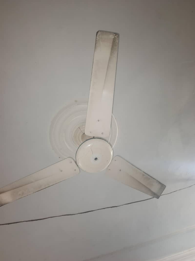 Ceiling Fans 0