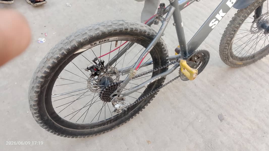 Cycle 4