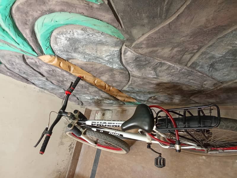 bicycle 1