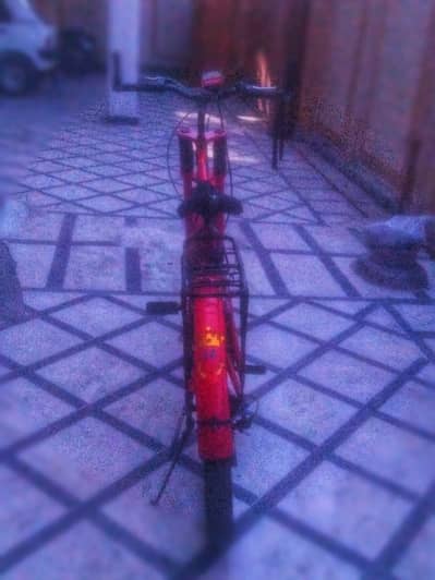 XL size 18 gear red cycle with speedometer of original bahrico