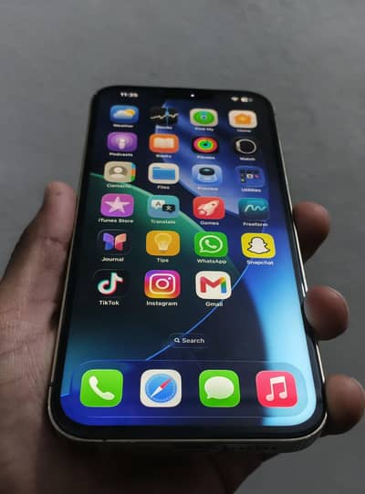 Apple iPhone 13 Pro Max