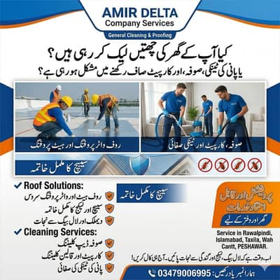 Termite proofing & Dengue Mosquito Fogger spray/Roof Heat Proofing