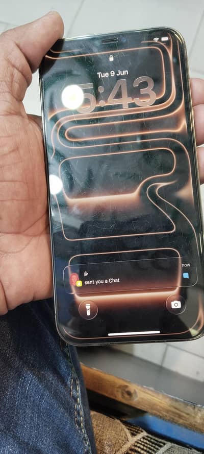 12 pro max 256 gb