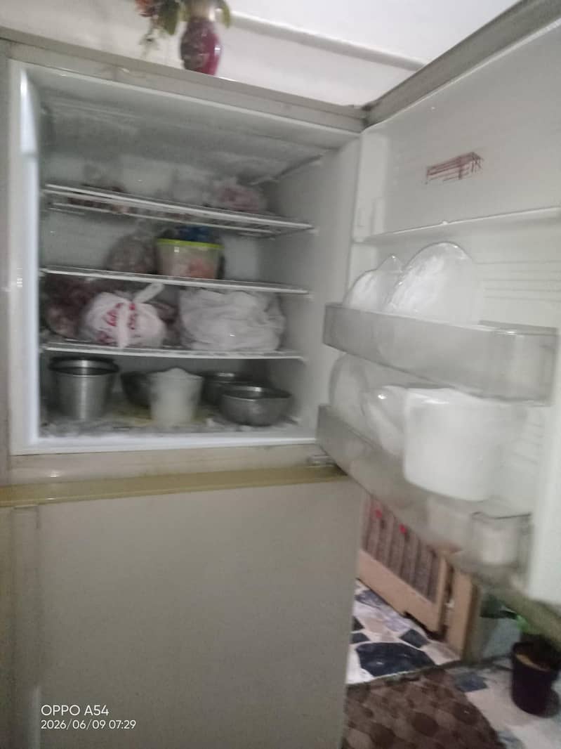 fridge 2