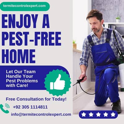 Termite Spray in Lahore – Trusted Expert Service