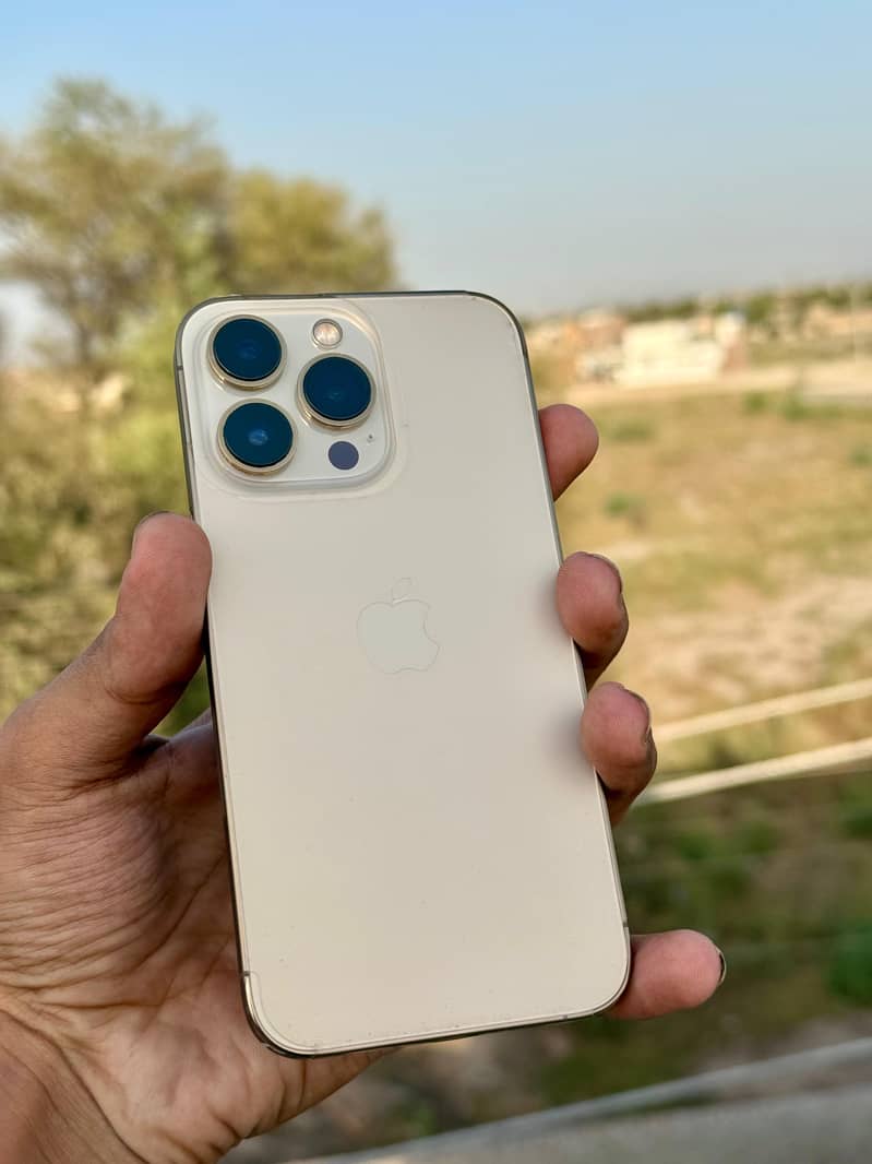 iPhone 13 Pro 0
