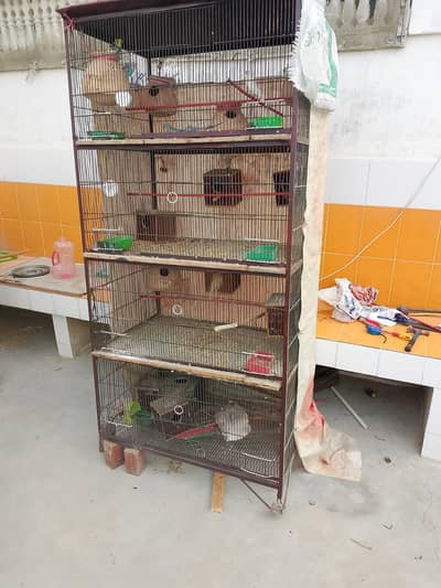 4 portion cage sale