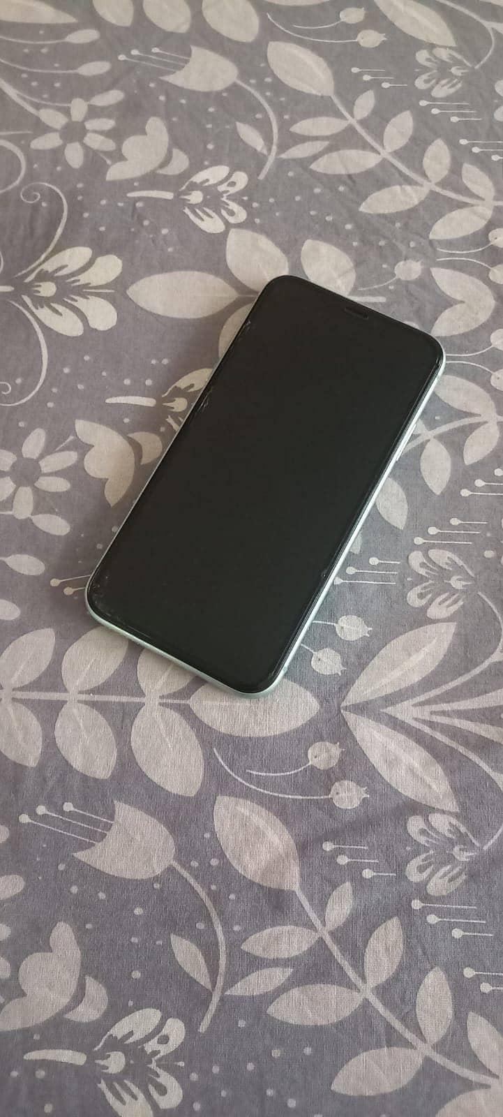 Apple iPhone 11 0