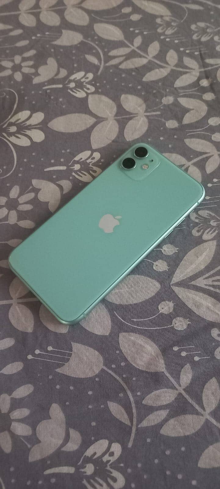 Apple iPhone 11 1