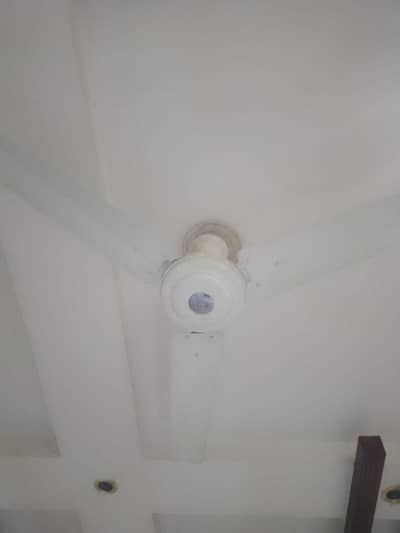 56 inch of white coulour