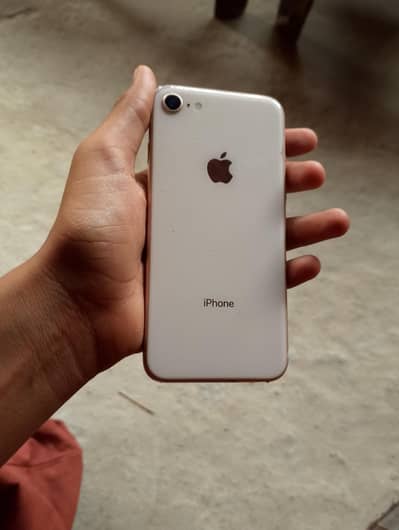 iphone 8