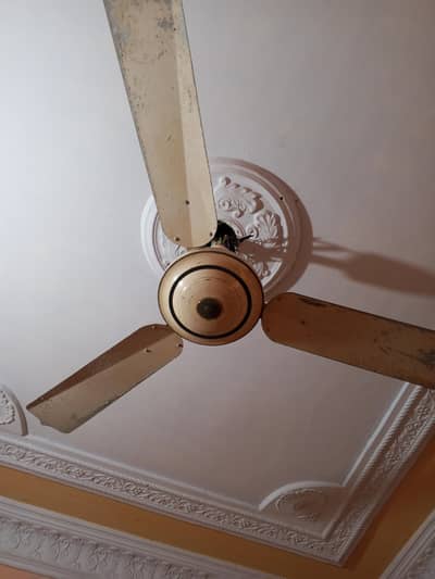 fan for sale