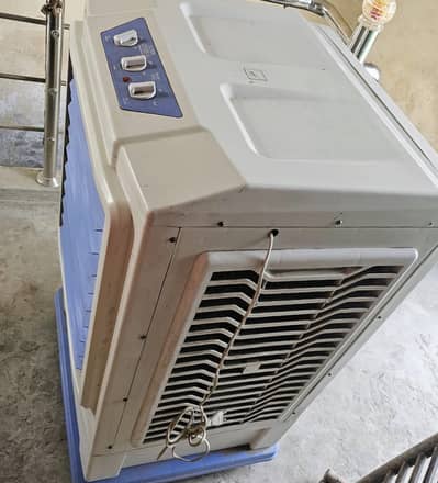 Air collar Model 7500