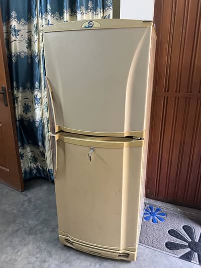Pel Fridge For Sale