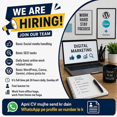 Looking for beginner level SEO person