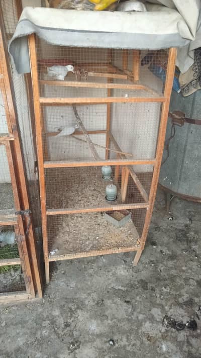 Wooden cage for sale