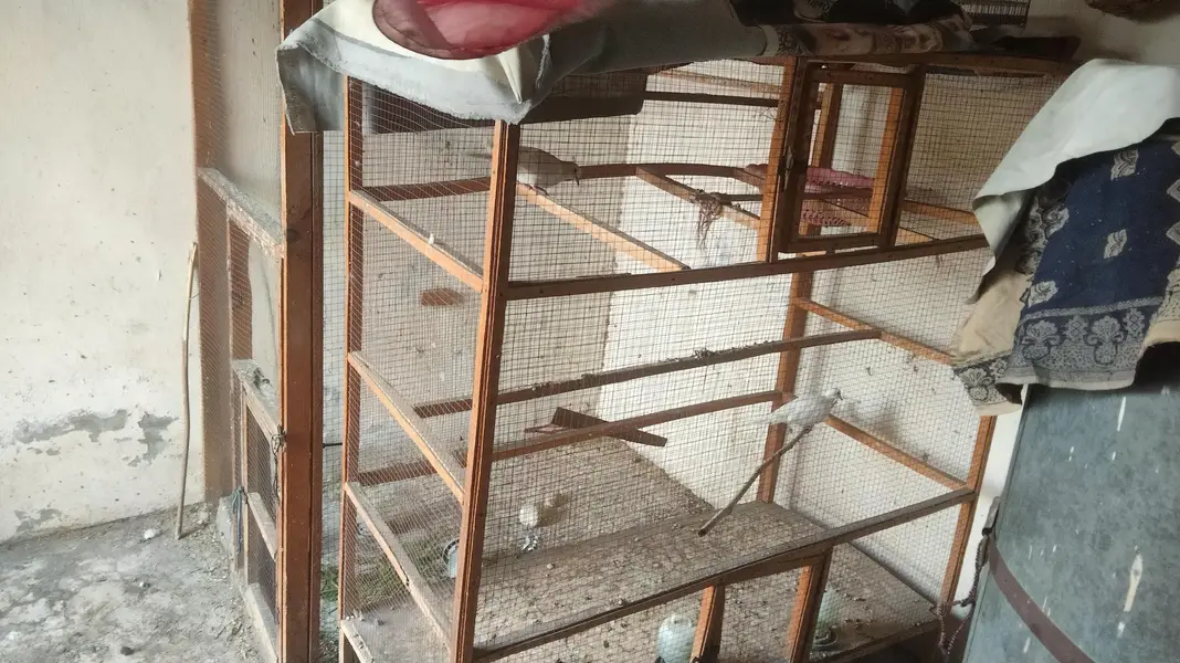 Wooden cage for sale — photo 2