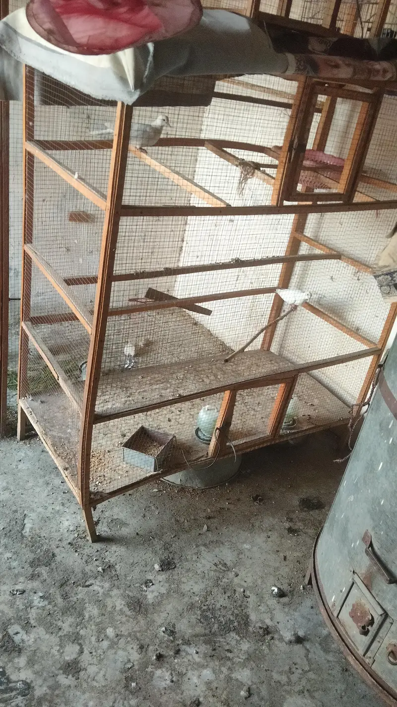 Wooden cage for sale — photo 3