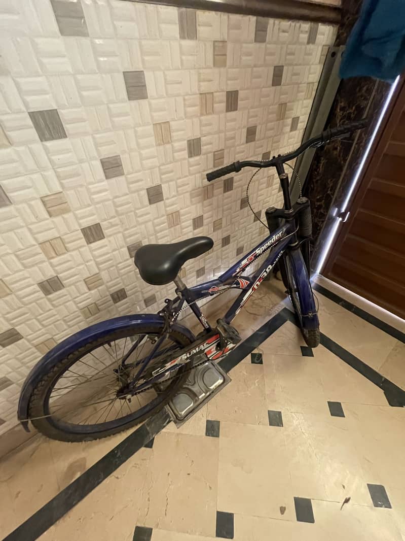 Bicycle 1