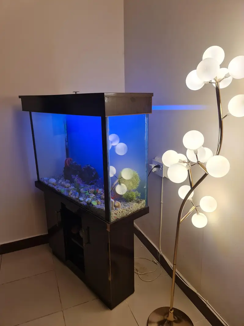 Aquarium — photo 2