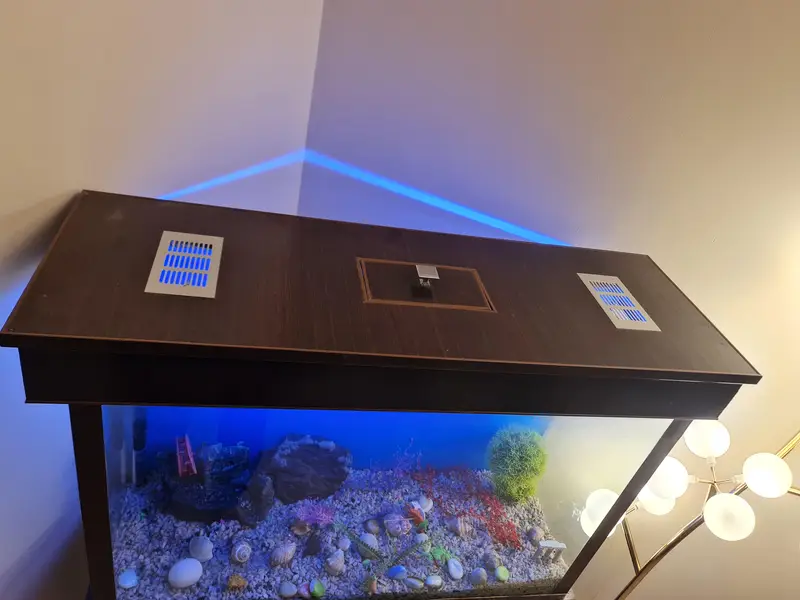 Aquarium — photo 3