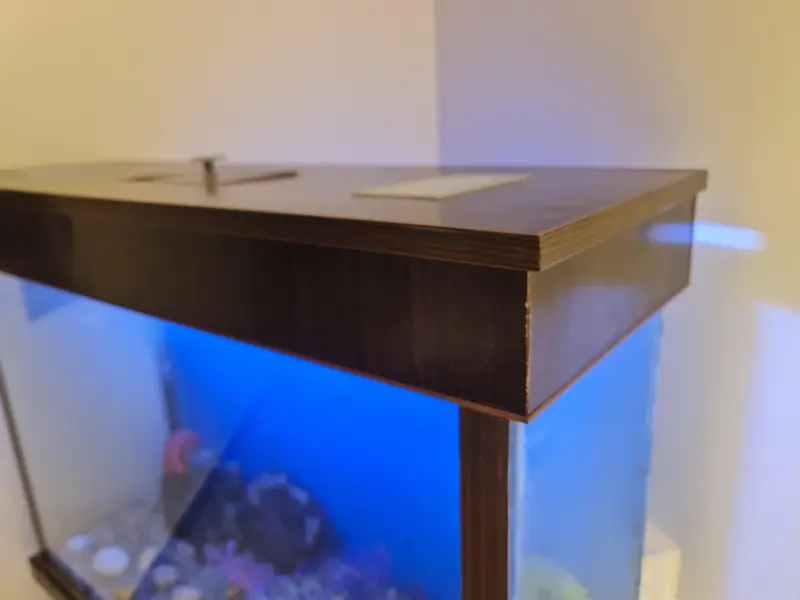 Aquarium — photo 4