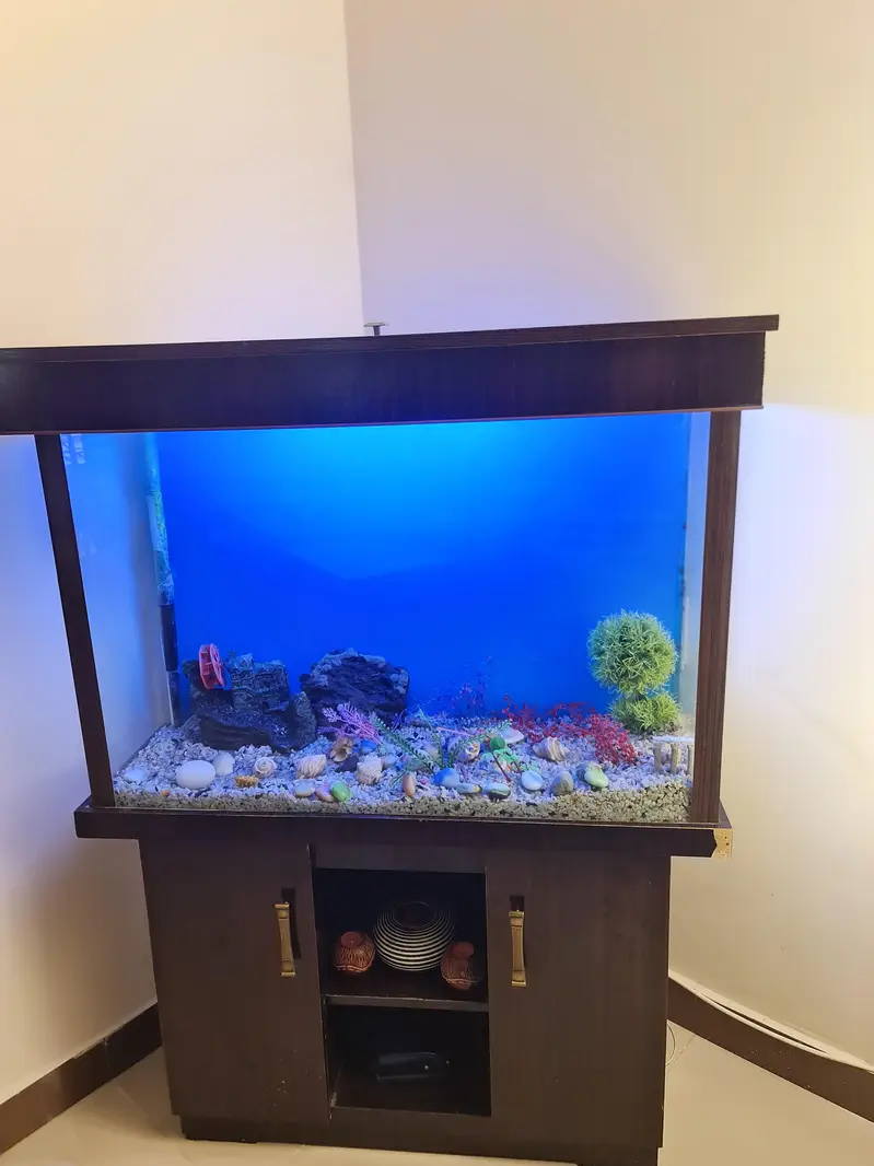 Aquarium — photo 6