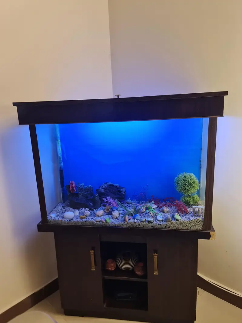 Aquarium — photo 7