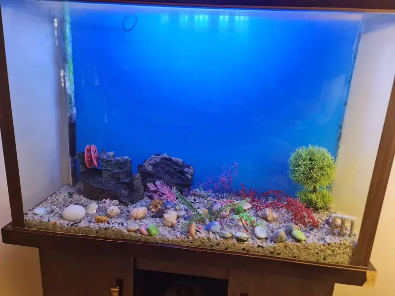 Aquarium — photo 8