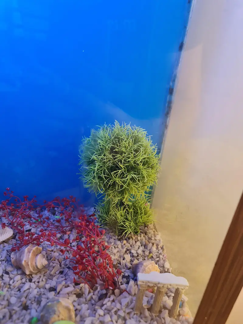 Aquarium — photo 9