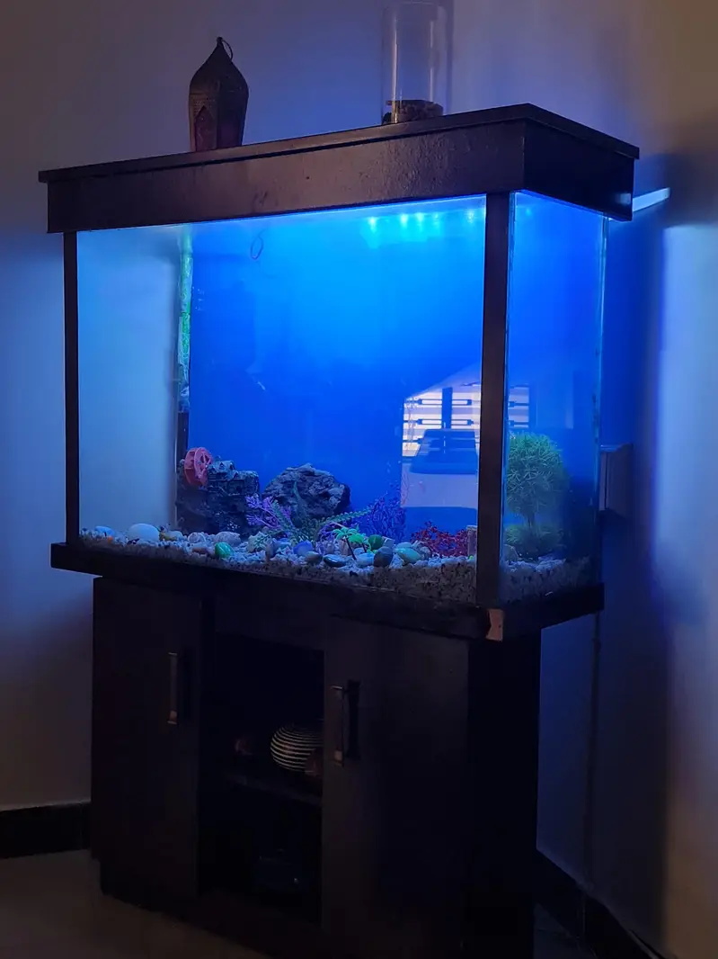 Aquarium — photo 11