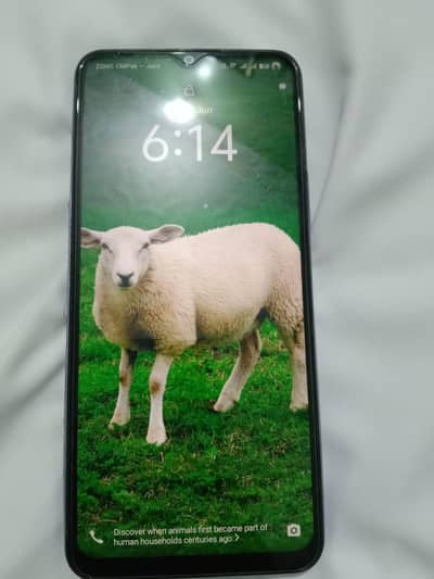 VIVO Y17S 4/128 With Box charger Condition 10/10